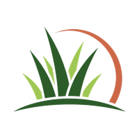 Port St. Lucie Artificial Grass Installation